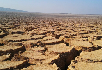 Засуха и снижение урожайности. Чем грозит Казахстану глобальное потепление?