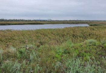 Основные очаги ртутного загрязнения изолируют в Павлодарской области