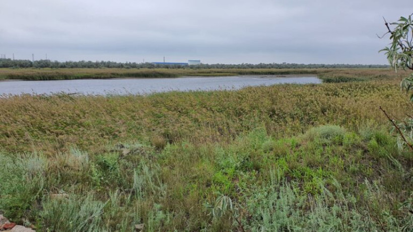  Илья Отрада 