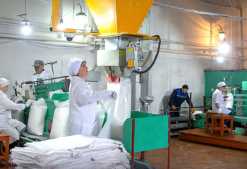 Президент поручил развивать сахарную отрасль в области Жетісу