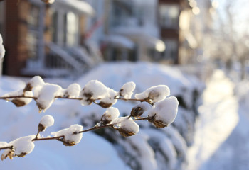 Еліміздің кей аймақтарында күн суытады