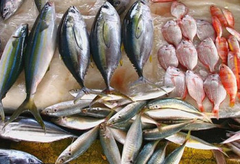 Қазақстанның балық өнімдері Еуропа елдеріне экспортталады