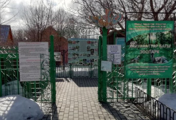 Өскемендегі зообақта баланы қасқыр тістеп алды