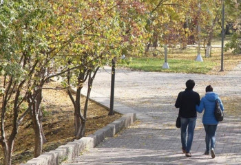 Утверждены правила содержания и защиты зеленых насаждений