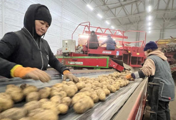 Биыл Қазақстанда 26 жаңа көкөніс қоймасы ашылады