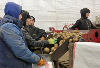 26 новых овощехранилищ откроют в Казахстане