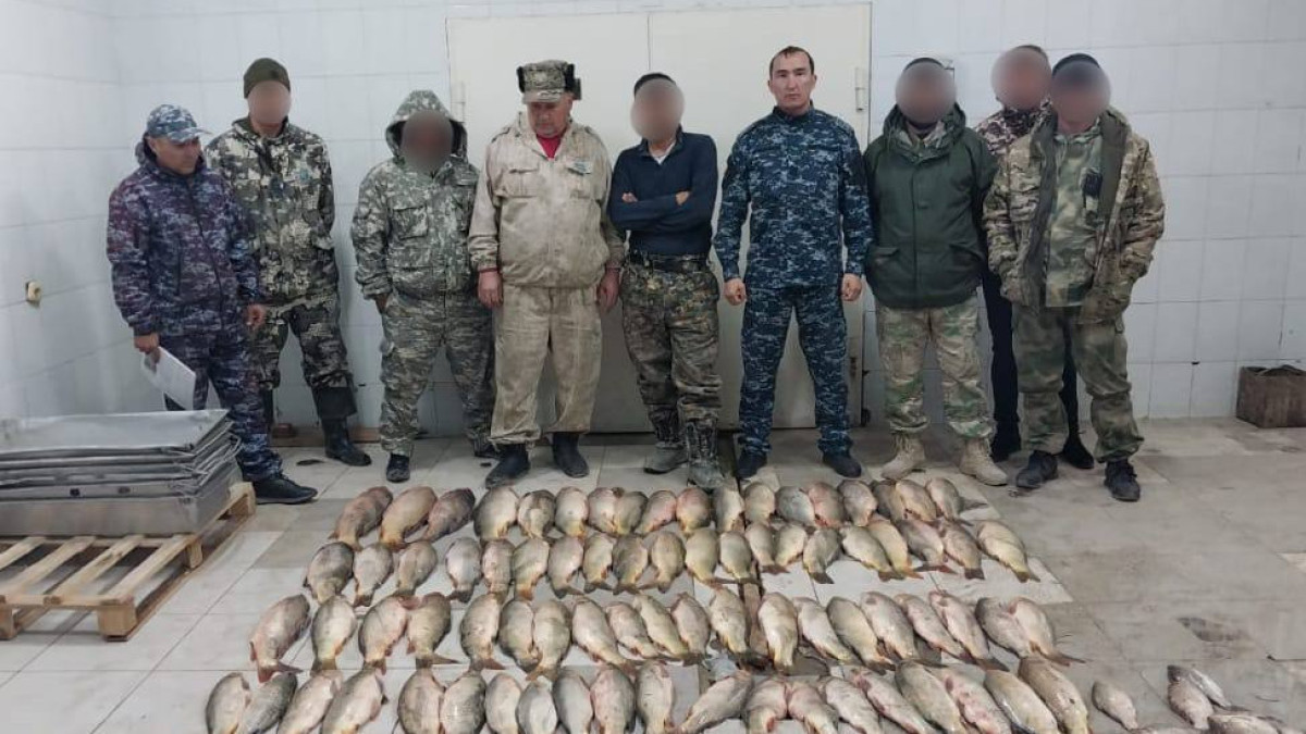 160 кг рыбы изъяли у браконьеров в Туркестанской области