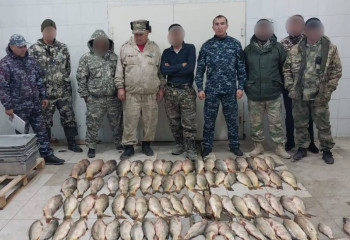 160 кг рыбы изъяли у браконьеров в Туркестанской области