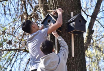 Шымкенттік оқушылар 1000-ға жуық құс ұяларын орнатты