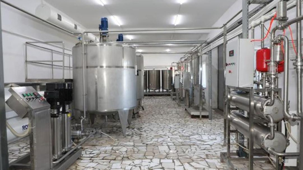 Завод по переработке верблюжьего молока открылся в Арыси