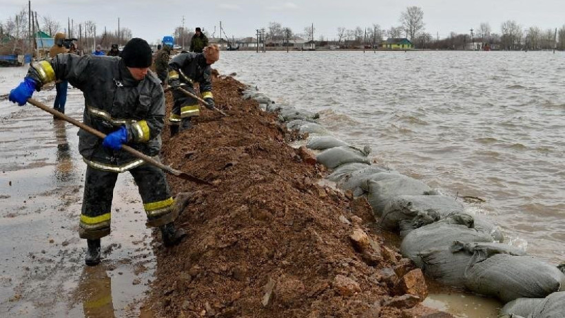  Фото: Ашық дереккөзден 