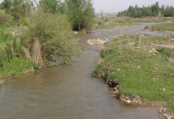 Пропавшую девочку ищут в Туркестанской области