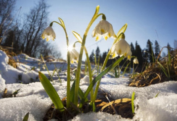 В праздничные дни ожидается теплая погода в Казахстане