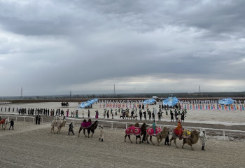 Шымкентте жаңа ипподром пайдалануға берілді