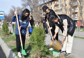 Жамбыл облысында биыл 17 миллионға жуық ағаш отырғызылады