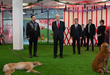 Тазы мен төбетті халықаралық деңгейде дәріптеу керек - Президент