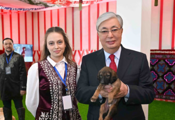 Президенту подарили щенка породы тазы по кличке Наурыз