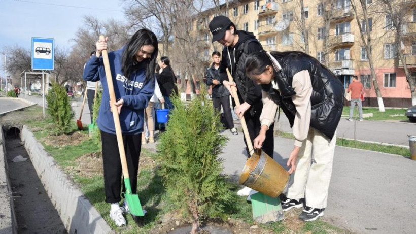  акимат Жамбылской области 