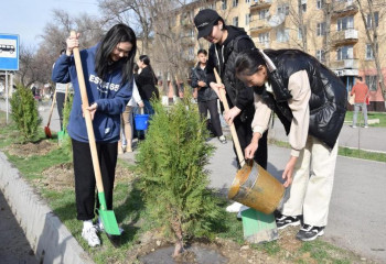 Жамбыл облысында биыл 17 миллионға жуық ағаш отырғызылады