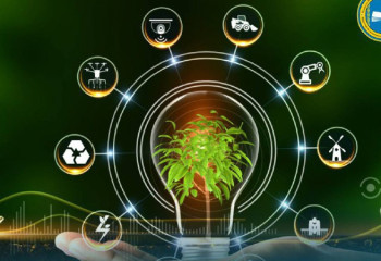 Түркістадық оқушы «Ақылды ферма» жобасын жасады