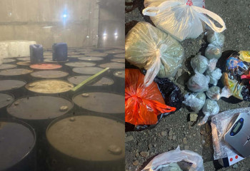 Деятельность транснациональной преступной группы пресечена в Казахстане