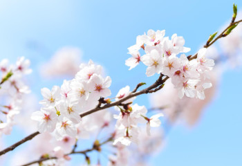 Демалыс күндері ауа райы +26 градус дейін жылынады