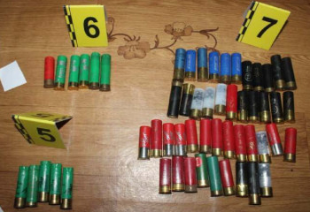 Более 260 патронов изъяли полицейские у жителя Туркестанской области