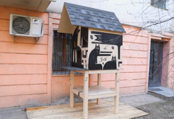 Алматыда қаңғыбас мысықтарға арналған үй орнатылды