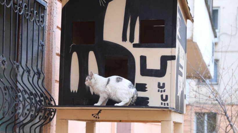  пресс-служба акима Алматы 