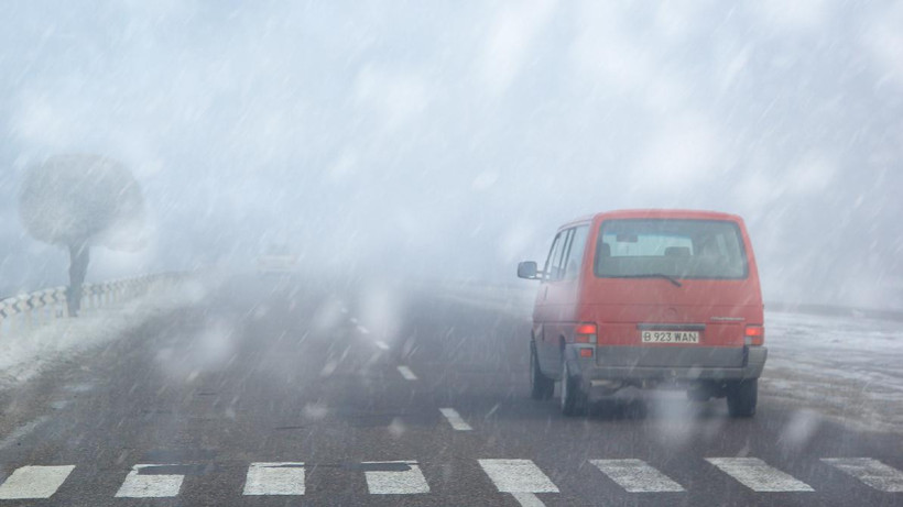  Алексей Старков 