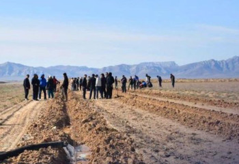 Увеличен зеленый пояс в Туркестанской области