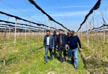 В Туркестанской области реализуют проекты развития агросферы