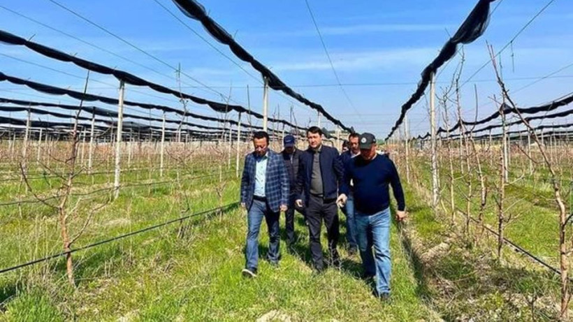  акимат Туркестанской области 