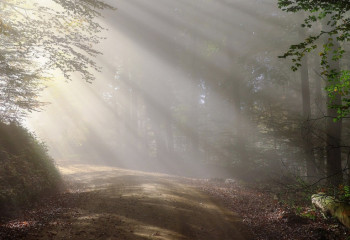 Синоптиктер алдағы үш күннің ауа райы болжамын жариялады
