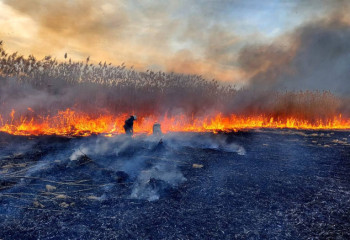 Атырау облысында 30 гектар қамысты жер өртенді