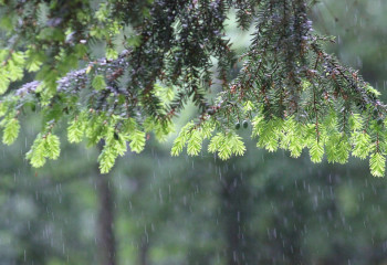 Наурыздың соңғы күндері 22 градусқа дейін аяз болады