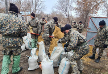 Спасатели не допустили подтопления садоводческого коллектива в Актобе