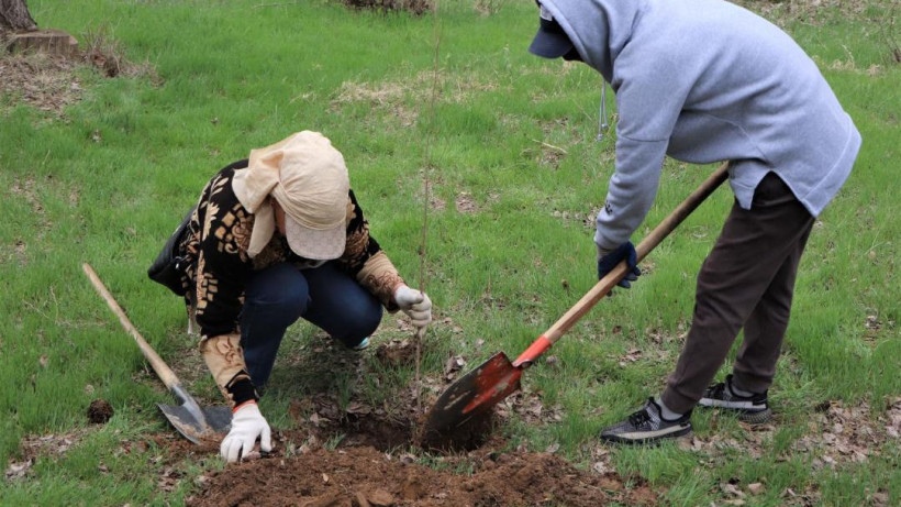 акимат Туркестанской области 