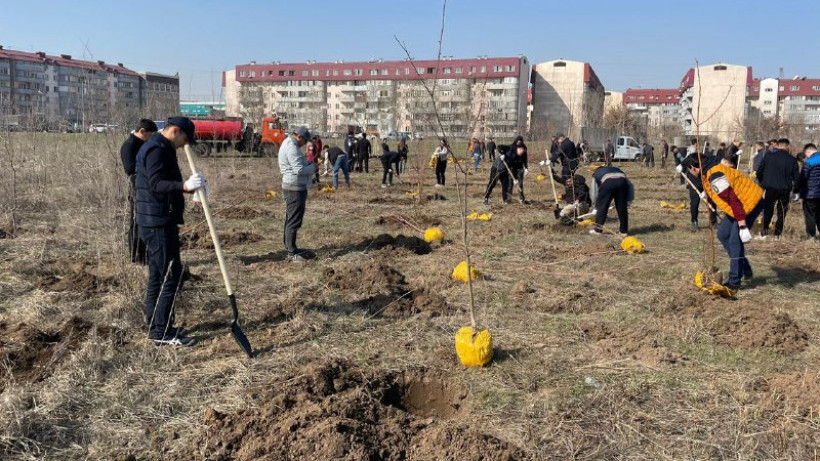  акимат Алматы 