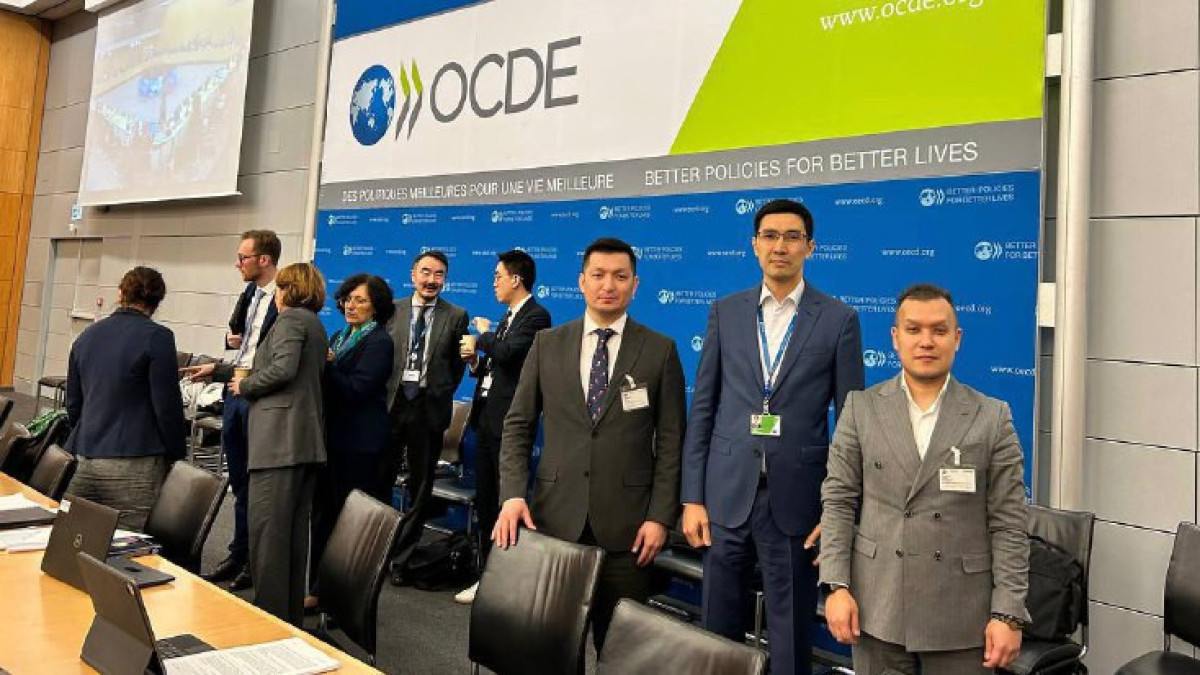 Kazakh  Ministry of Economy and OECD Committee strengthen cooperation