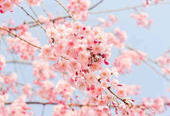 Сәуір айының басында күн жылынады