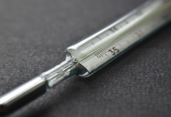 Түркістан облысында 15 адам қызылша жұқтырған