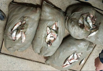 Рыбоохранная акция «Бекіре-2023» пройдет в нескольких регионах Казахстана