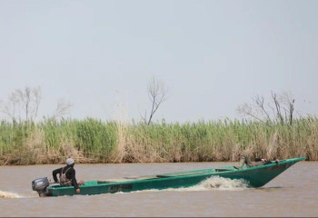 Еліміздің батысында «Бекіре-2023» балық қорғау акциясы басталды