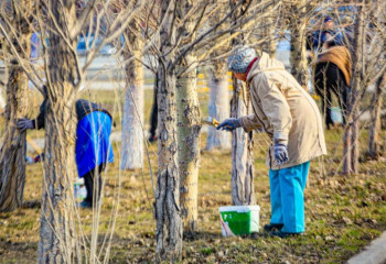 Ақтөбеде жалпықалалық сенбілік өтті