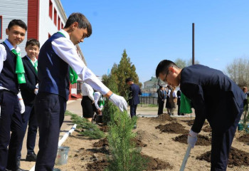 20 тысяч деревьев планируют посадить в районе Жамбылской области