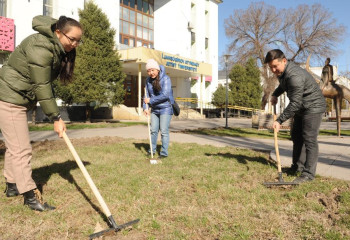 Тысячу молодых елей и сосен высадили в парке Талдыкоргана
