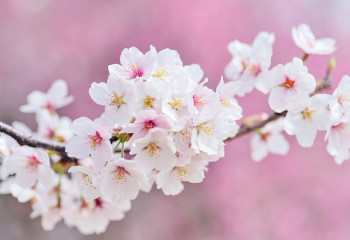 Дүйсенбіге арналған ауа райы болжамы