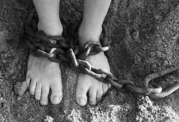 Адам саудасына байланысты 37 қылмыс анықталды