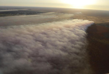 Школьники Атырау перешли на дистанционный формат из-за смога